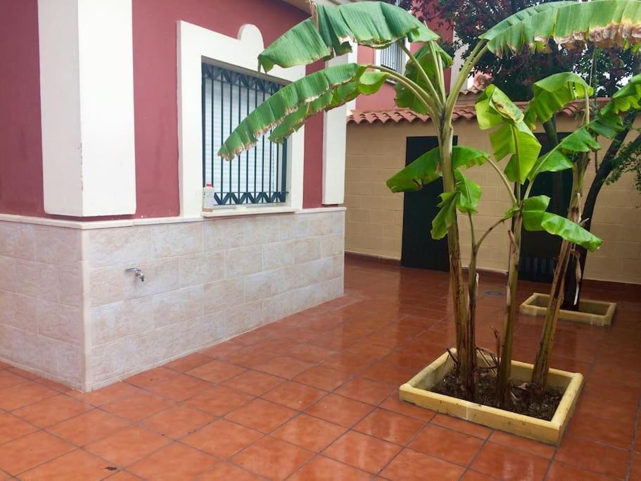 Villa Casa Bignonia Salteras Esterno foto
